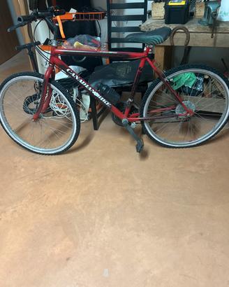 Mountain bike