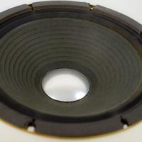 PEARL WOOFER MOLTO RARO - ANNI 70/80 PER CHITARRA