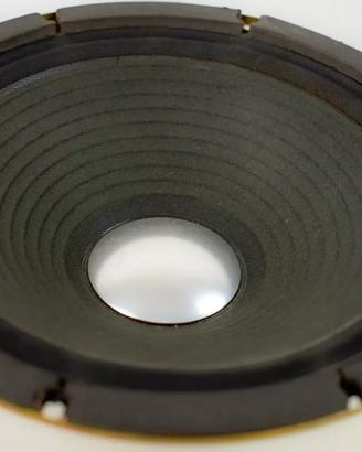 PEARL WOOFER MOLTO RARO - ANNI 70/80 PER CHITARRA