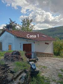 Montemignaio ( AR)