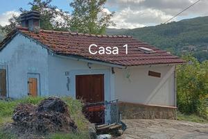 Montemignaio ( AR)