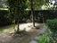 Immagine 25