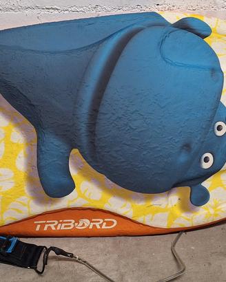 Tavola da surf