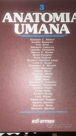 Anatomia umana
