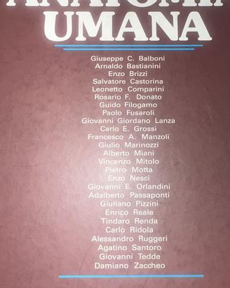 Anatomia umana