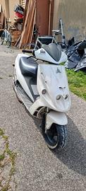 Malaguti F12 ZJM 41