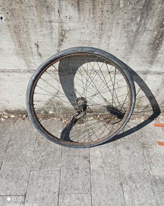 ruota bici