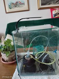 acquarium 