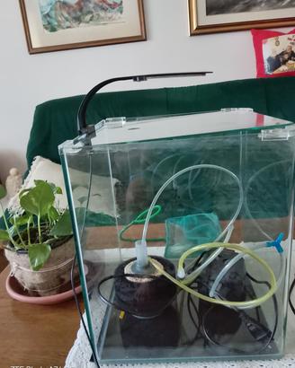 acquarium 