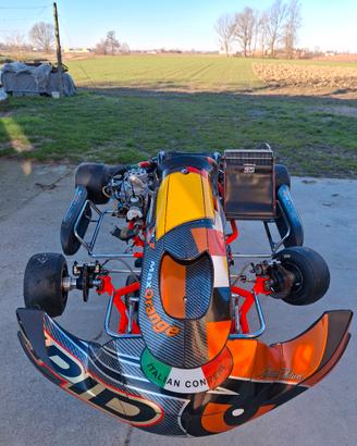 Telaio kart cruiser 2023