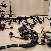 Impianto elettrico completo mv agusta 990r 2011