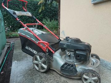 Rasa erba