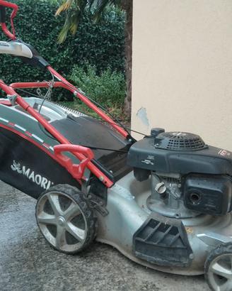 Rasa erba