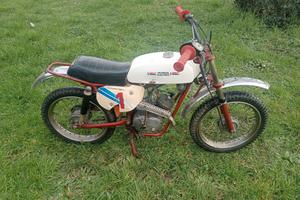 minibike cimatti Bat boy 