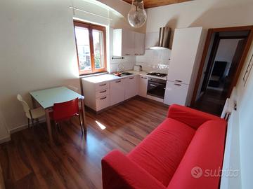 Bilocale arredato a desio