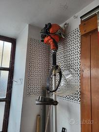 Tagliaerba a motore Echo