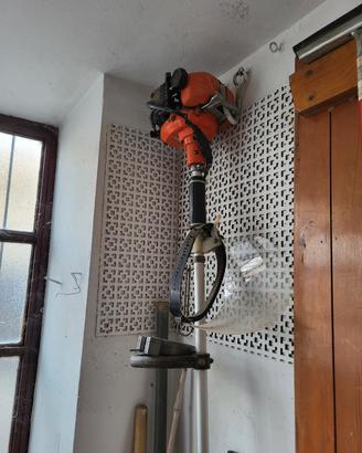 Tagliaerba a motore Echo