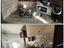 Immagine 12