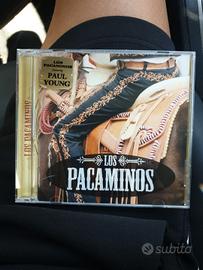 paul young & los pacaminos rarissimo cd tex mex