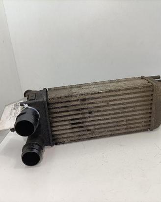 INTERCOOLER CITROEN C5 Station Wagon P9684946380 D