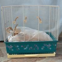 Gabbia per uccelli completa di accessori