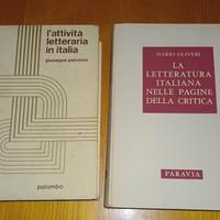 2 libri anni '70 su letteratura italiana [usato]