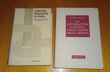 2 libri anni '70 su letteratura italiana [usato]