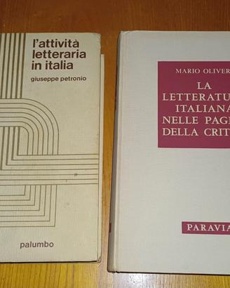 2 libri anni '70 su letteratura italiana [usato]