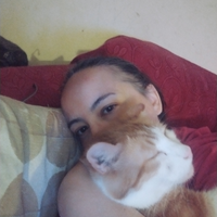 Servizio pet sitting e assistenza anziani