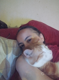 Servizio pet sitting e assistenza anziani