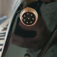 "Fisarmonica modello Music Maker Digital 50"