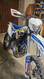 Sherco factory 300 2022