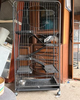 Gabbia per Cincillà o Roditori