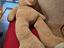 Immagine 3