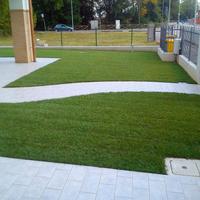 Posa tappeto erboso giardino altro 