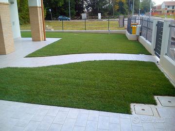 Posa tappeto erboso giardino altro 