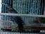Immagine 5