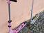 Immagine 5