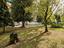 Immagine 27