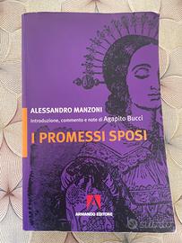 I Promessi Sposi di Alessandro Manzoni
