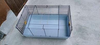 Gabbia per roditori/cavie