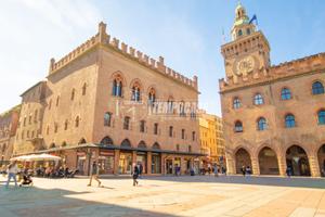 Appartamento a Bologna Via Dè Musei 2 locali