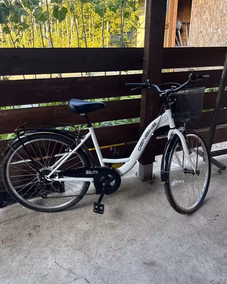 Bicicletta da città