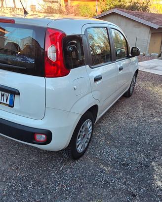 fiat panda 1.2 benzina