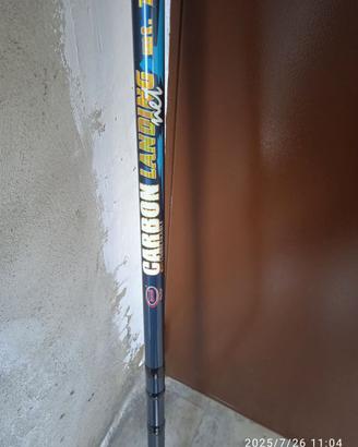 Canna da pesca carbonio 7 mt bolognese