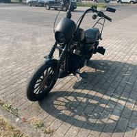 Harley davidson 883 iron