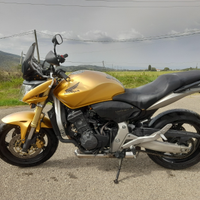 Honda Hornet 600