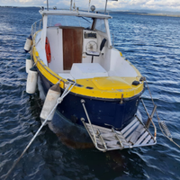 Pilotina 7,5 m - entrobordo diesel Fiat Aifo 80 cv