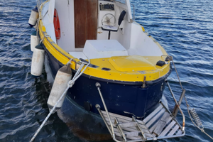 Pilotina 7,5 m - entrobordo diesel Fiat Aifo 80 cv