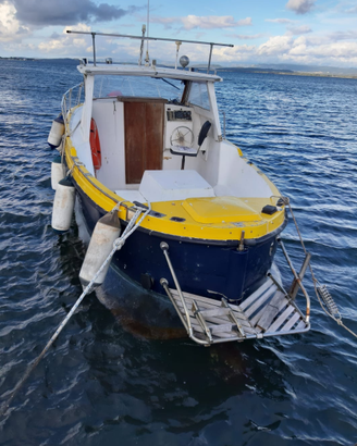 Pilotina 7,5 m - entrobordo diesel Fiat Aifo 80 cv